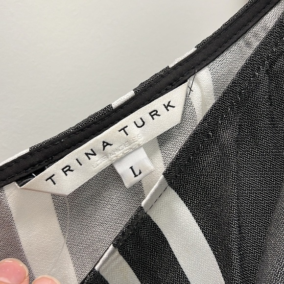 Trina Turk Striped Cayson Dress - Picture 4 of 5